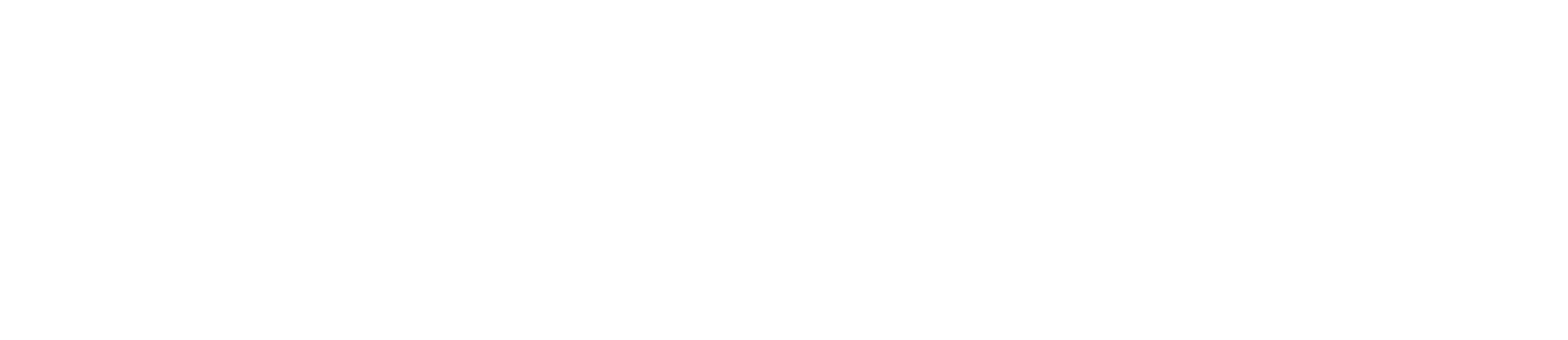 Vector Web